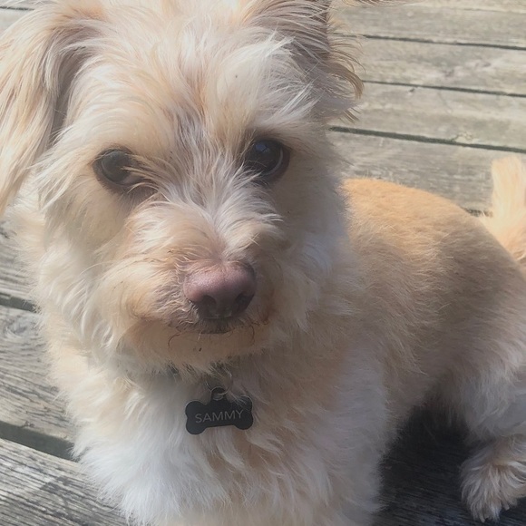 Meet your Posher, Jaycille - Picture 1 of 1